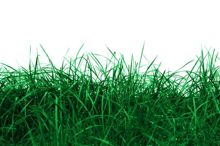 frame background with green grass isolated on white backgroundの写真素材