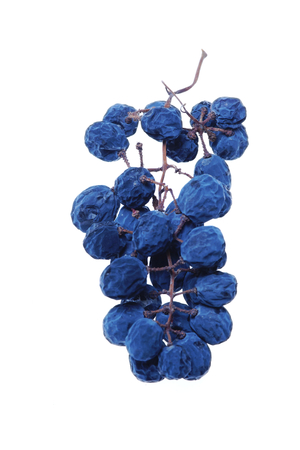 Blue grape cluster as raisinの写真素材