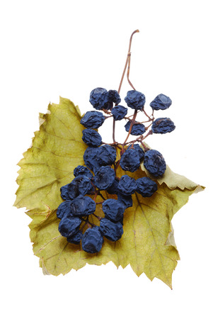 Blue grape cluster as raisinの写真素材