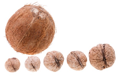 Coconut and five walnuts isolated on whiteの写真素材