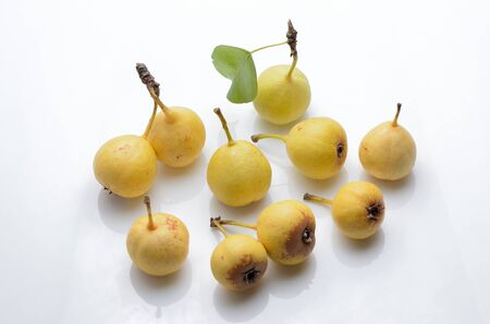 fruit ripe wild pear on an isolated white backgroundの写真素材