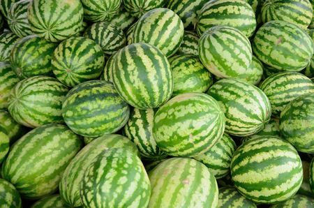 watermelon in the supermarketの写真素材