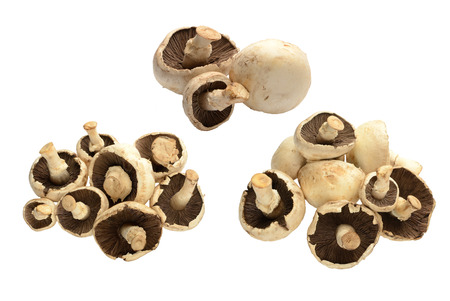 Champignon mushrooms isolated on white backgroundの写真素材