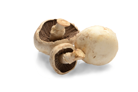 Champignon mushrooms isolated on white backgroundの写真素材