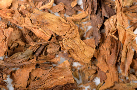dry shredded tobacco on the whiteの写真素材