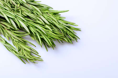 sprigs of rosemary on a white backgroundの写真素材