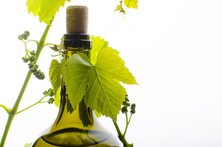 A bottle of wine with young grapesの写真素材