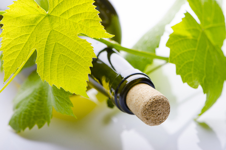 A bottle of wine with young grapesの写真素材