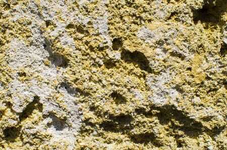 Coquina natural porous stone. construction materialの写真素材