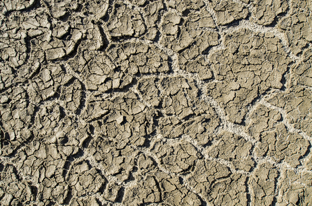 parched earthの写真素材