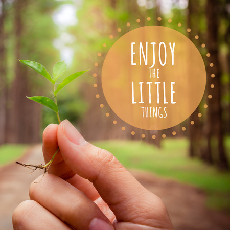 Inspirational quote on Hands holding small plant show conservative idea with pine tree background.の写真素材