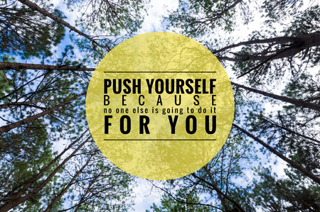 inspirational quote by unknown source on ant eyeview in pine tree forest.の写真素材