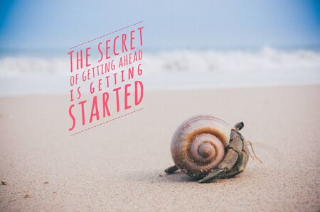 Inspirational quote by unknown source on Hermit crab walking along beach with waving sea blurry background with faded film, grain, soft effect.の写真素材