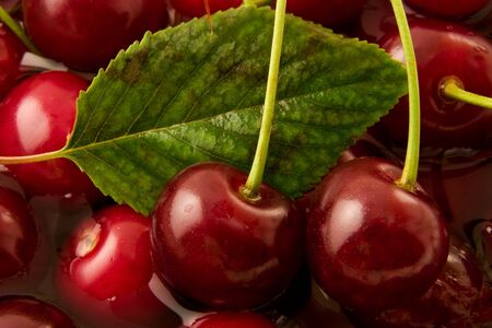Sweet cherries and drops of water