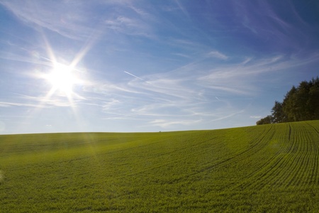 Autumn landscape with green fields and blue skyの写真素材
