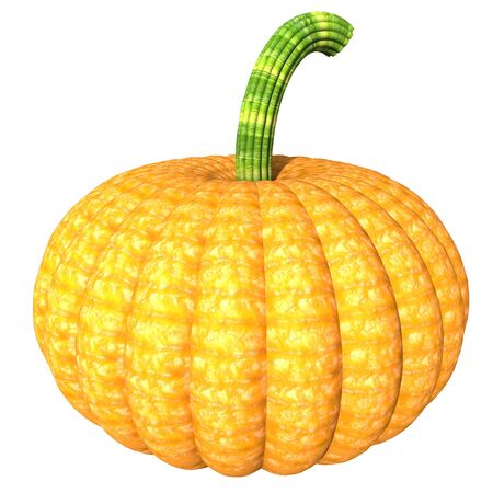 Orange large pumpkin background illustrationの写真素材