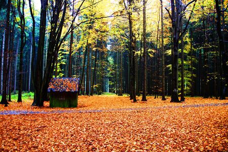 House in front of landscape viewのeditorial素材