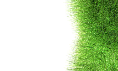 Green grass object isolated on whiteの写真素材