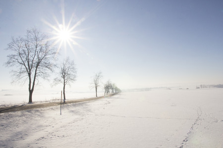 Winter landscape with ski track and sunの写真素材