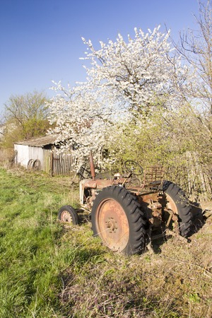 Spring rural landscape in villageの写真素材