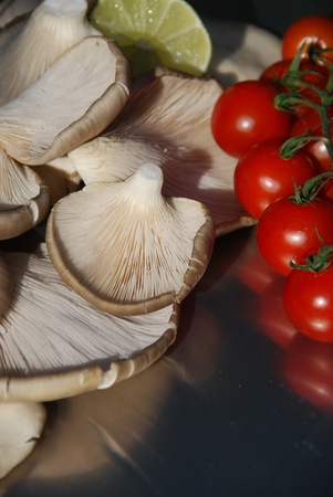 Oyster mushroom Pleurotus ostreatusの写真素材