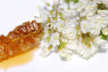 Acacia honey, organic honey Ingredientsの写真素材