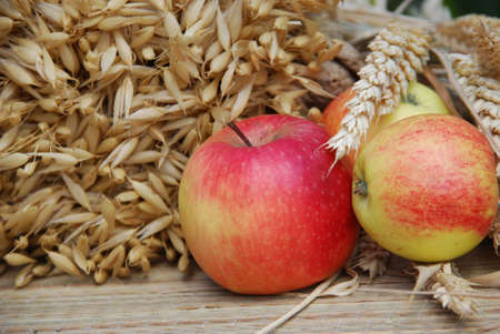 harvest timeの写真素材