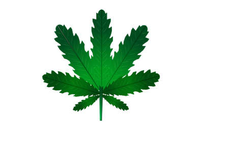 Natural fiber hemp sustainability