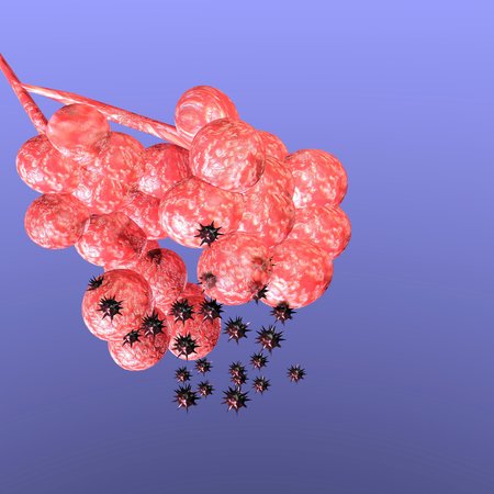 ingress of particulate matter into the lungs 3D renderingの写真素材