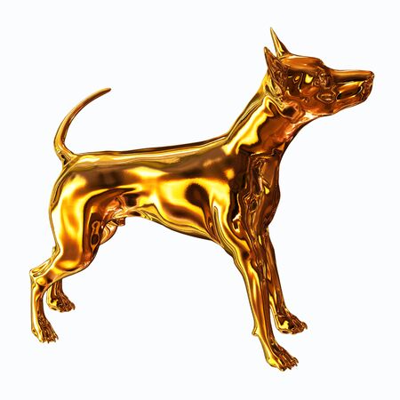 Golden Dogの写真素材