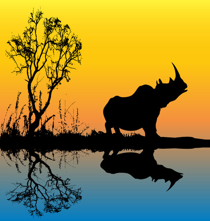 Rhinoceros Backgroundのイラスト素材