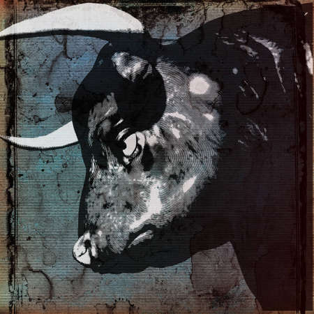 Bull Head Background の写真素材