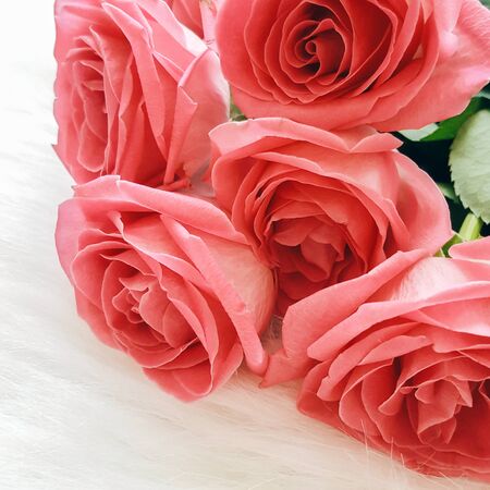 Beautiful bouquet of roses on a white surfaceの写真素材