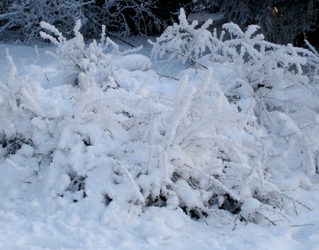 Winter (time)の写真素材