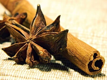 Cinnamon sticks and anise stars