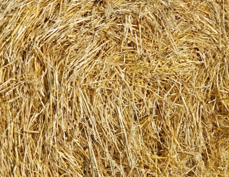 Texture of strawの写真素材