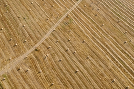 harvest rolls の写真素材