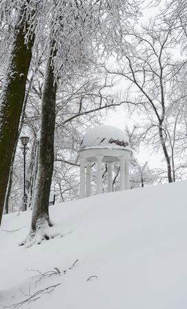 Winter in the park. Rotunda covered with snow alone standing between the trees. In cloudy weatherの写真素材