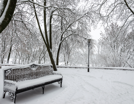 Winter in the park. There is no one, only traces on white snow. A bench covered with snow among the treesの写真素材