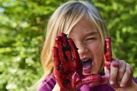 Girl licking tinged blueberries from fingers. Summer family fun.の写真素材