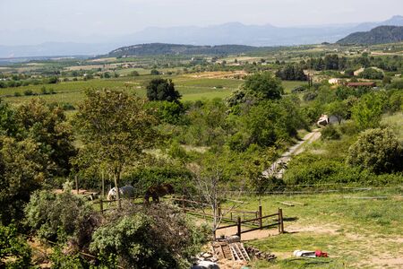 Contryside landscape with forrest and field and sunの写真素材