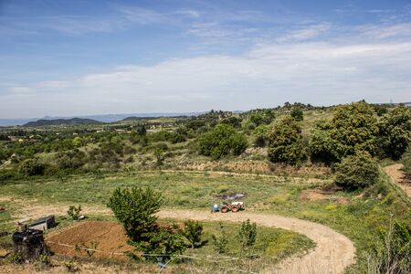 Contryside landscape with forrest and field and sunの写真素材