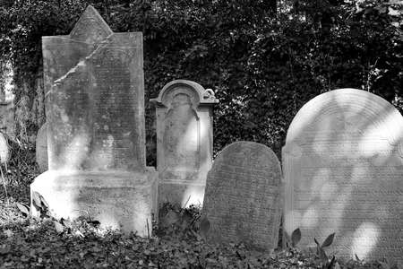Old gravestones in the Jewish cemeteryの写真素材