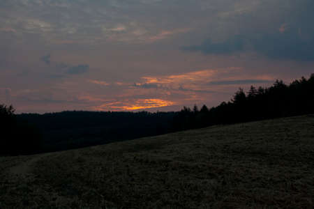 summer sunrise over the forest and fieldの写真素材