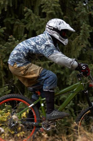 Mountain biker on background spruceの写真素材