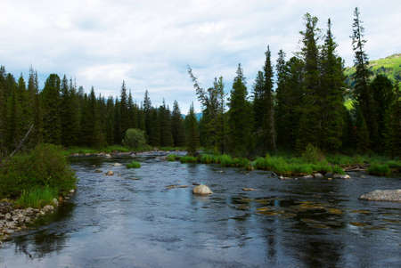 Mountain river and forestの写真素材