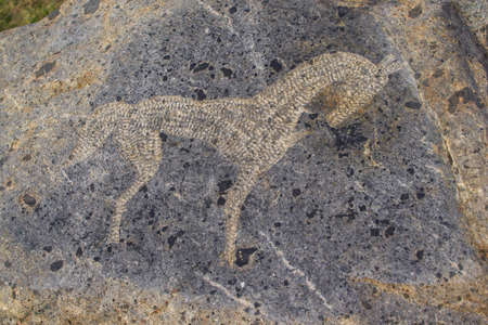 Horse - primitive art draving on stoneの写真素材
