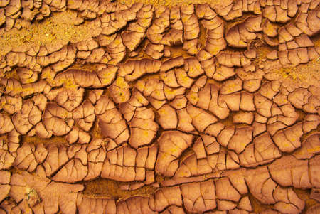 Texture of the canyon