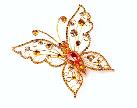 Golden butterflyの写真素材