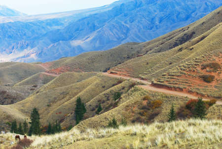 Autumn mountain valley and the old roadの写真素材